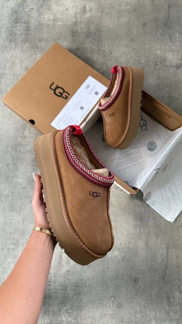 UGG TAZZ TABA